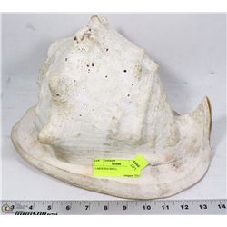 LARGE SEA SHELL