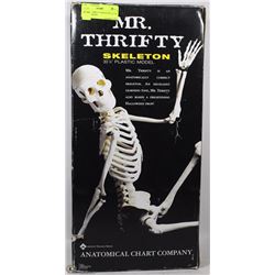 NEW MR. THRIFTY SKELETON 33-1/4" PLASTIC MODEL