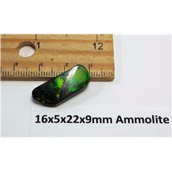 #26 - GREEN FIRE AMMOLITE GEMSTONE