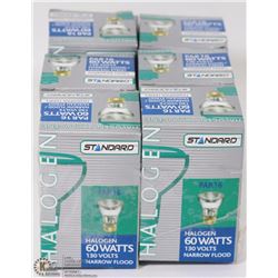 LOT OF 6 STANDARD HALOGEN 60 WATT NARROW FLOOD