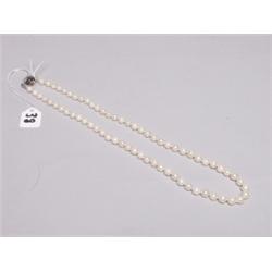 Fine Strand Cultured Pearls Sterling Clasp