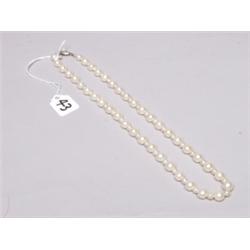 Cultured Pearls Silver Clasp