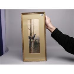 F Artus Stuttgart Siged Watercolour