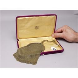 Dingwasl Antique Mesh Bag in Vintage Case