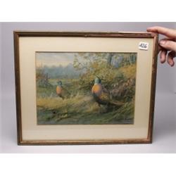 Pr of Allan Brooks 1930s Wildlife Prints