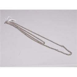 Victorian Silver Chain & a Necklace