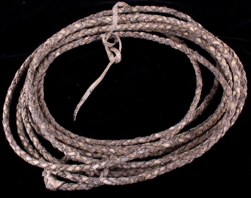 Horse hair Lead Rope & Rawhide Braided Riata