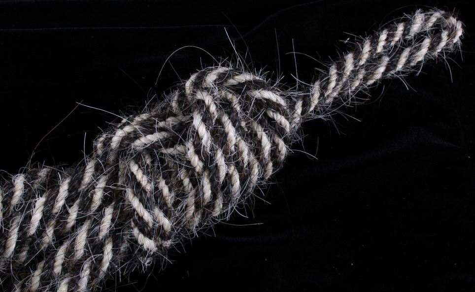 Horse hair Lead Rope & Rawhide Braided Riata