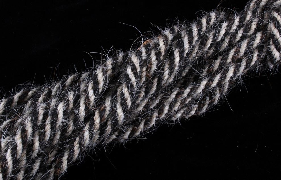 Horse hair Lead Rope & Rawhide Braided Riata