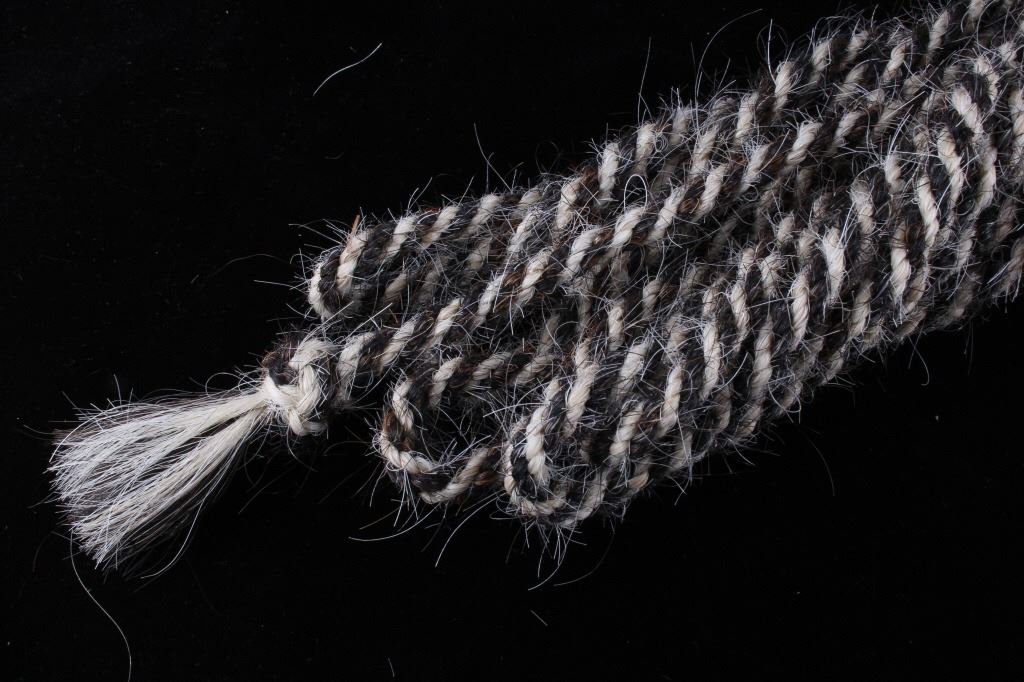 Horse hair Lead Rope & Rawhide Braided Riata
