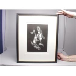 Haida Killerwhale - Skaana