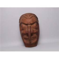 Sam Johnson Numus Mask