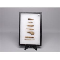 7 Bone Awls Used for Masket Making