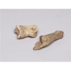 2 Bone Handles One with Eagle Head