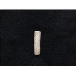 Dentalium Shell Bead 
