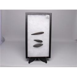 3 Slate Knives Found in Fraser Valley