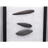 Image 2 : 3 Slate Knives Found in Fraser Valley