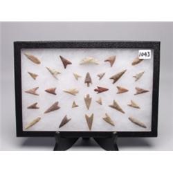 30 Choice Pre Columbian Arrowheads