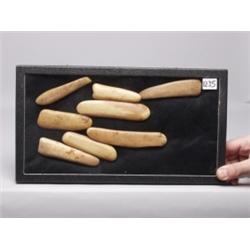 8 Mastadon Ivory Wedge Tip Artifacts