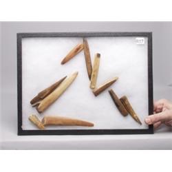 9 Mastadon Ivory Artifacts 1 Antler Artifact