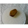 Image 2 : GEM STONE - TIGER'S EYE - POLISHED FREE FORM