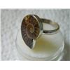 Image 2 : RING - CUSTOM DESIGNED AMMONITE IN STERLING SILVER SETTING - APPROX. 1 X 1" - STAMPED 925 -  RETAIL