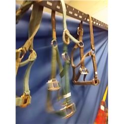 HORSE HALTER