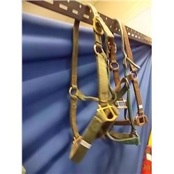 HORSE HALTER