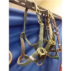 HORSE HALTER