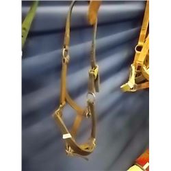 HORSE HALTER