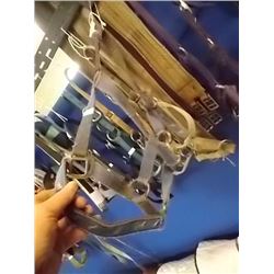 HORSE HALTER