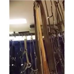 GIRTHS - ENGLISH - 5 TTL