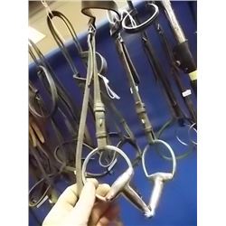 ENGLISH BRIDLE WITH BIT