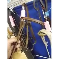 WESTERN BRIDLE