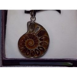 NECKLACE PENDANT - NEW POLISHED AMMONITE PENDANT IN STERLING SILVER SETTING