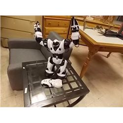 REMOTE CONTROL ROBOT WITH REMOTE - STR