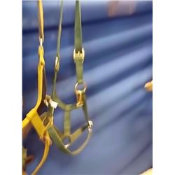 HORSE HALTER
