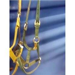 HORSE HALTER