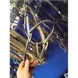 HORSE HALTER