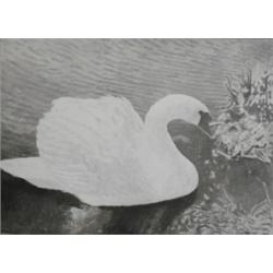 Oil, grisaille, Per Withstrand