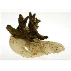 Sculpture, moosehead, Henrik Allert