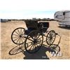 Image 3 : TOPLESS DOCTOR'S BUGGY