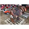 Image 1 : WESTERN 15" SADDLE