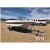 Image 2 : EVINRUDE FIBREGLASS BOAT