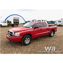 2006 DODGE DAKOTA PICKUP