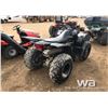 Image 3 : 2007 YAMAHA WOLVERINE 450 ATV