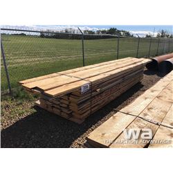 BOARDS