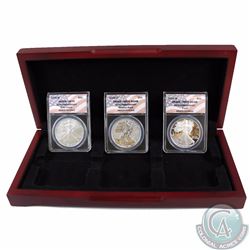 Set of 3x 2006 United States $1 20th Anniversary Silver Eagle Type Set ANACS Certified (Tax Exempt) 