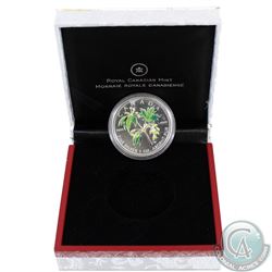 2003 Canada $5 Coloured Silver Maple Leaf Encapsulated in White & Red RCM Display Box (Coin is toned