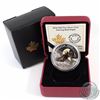 Image 1 : 2014 Canada $20 Soaring Bald Eagle Fine Silver Coin (Capsule lightly scratched) - TAX Exempt